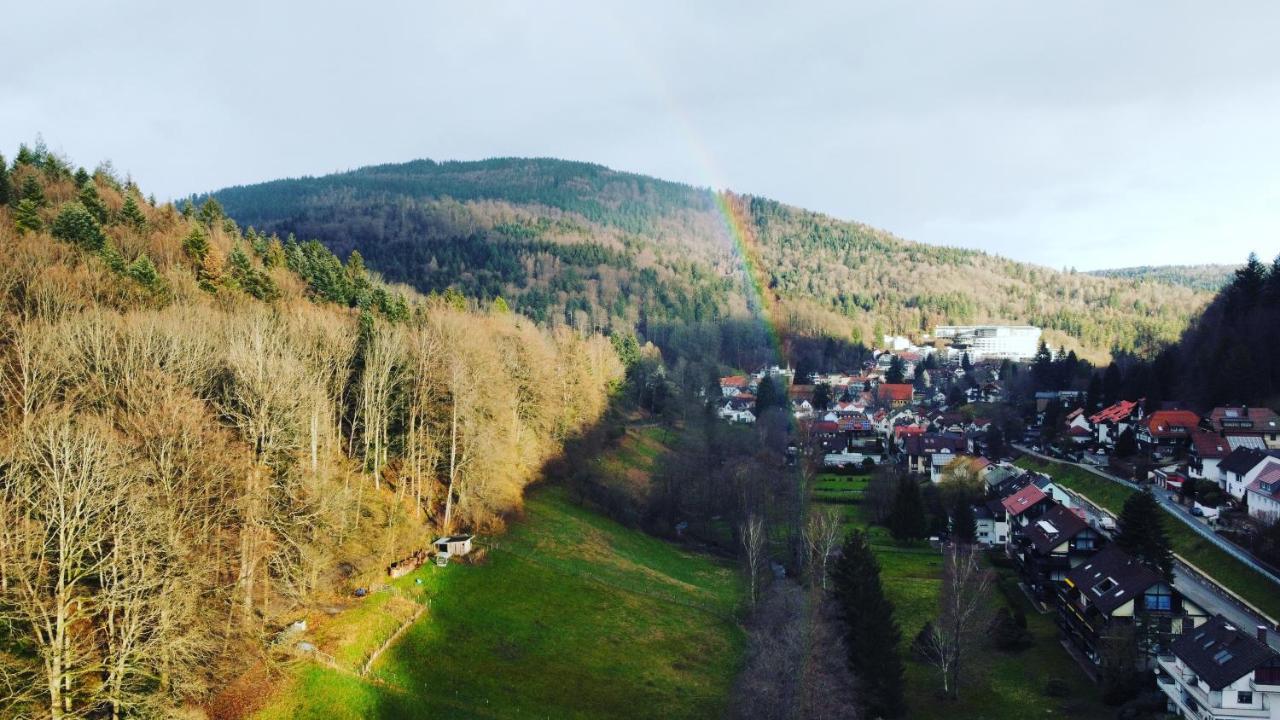 Black Forest Apartment Bad Herrenalb Zewnętrze zdjęcie