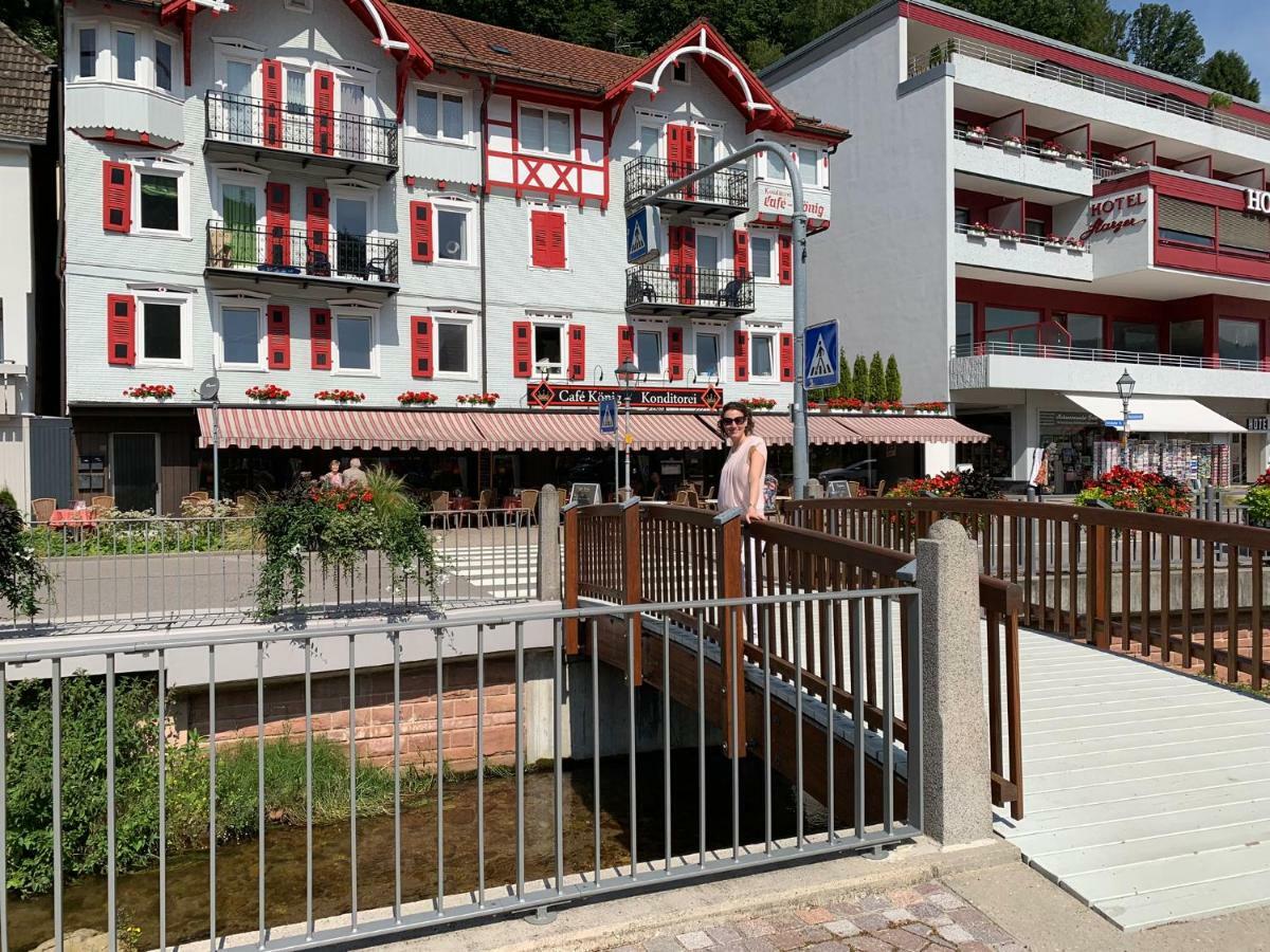 Black Forest Apartment Bad Herrenalb Zewnętrze zdjęcie
